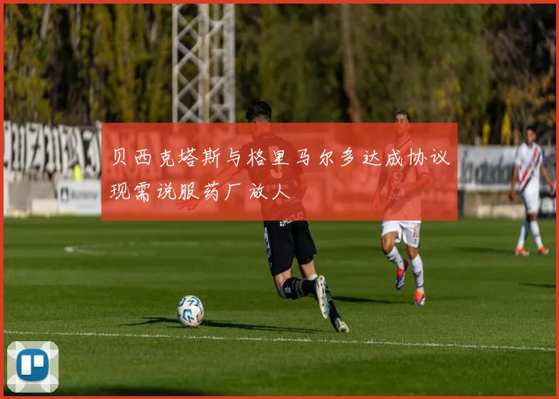 贝西克塔斯与格里马尔多达成协议现需说服药厂放人